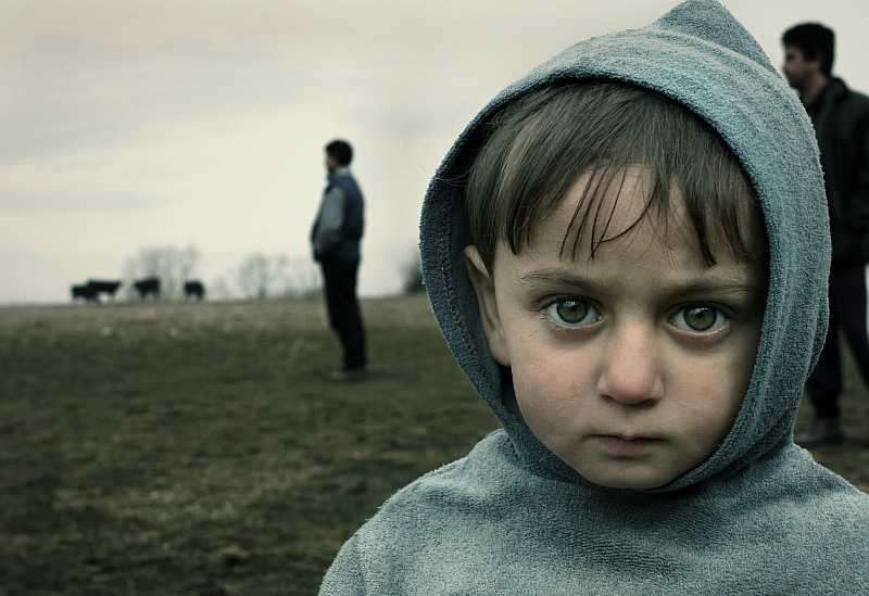 Eyes | nature, child, male