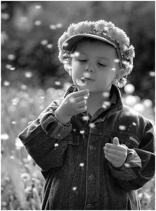 Simple pleasures | black and white, nature, child, flower