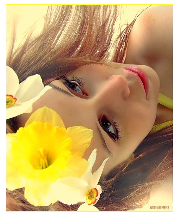 Narcisse | flower, woman, saturation