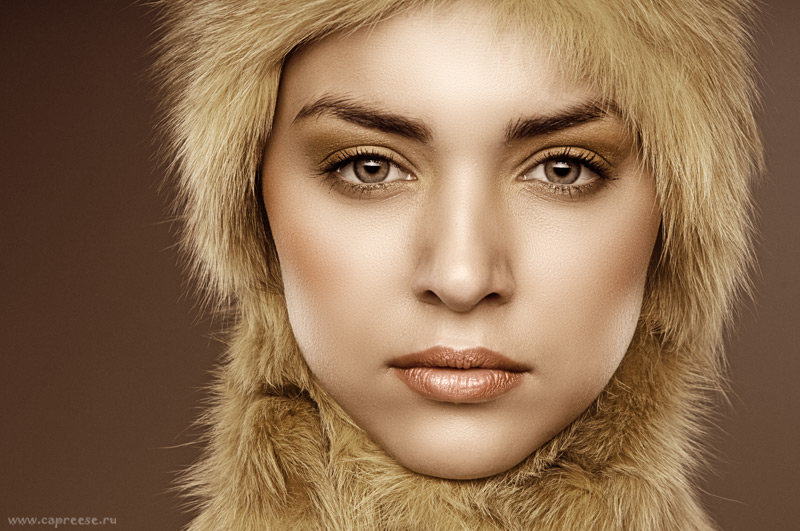 Gold | close-up, fur