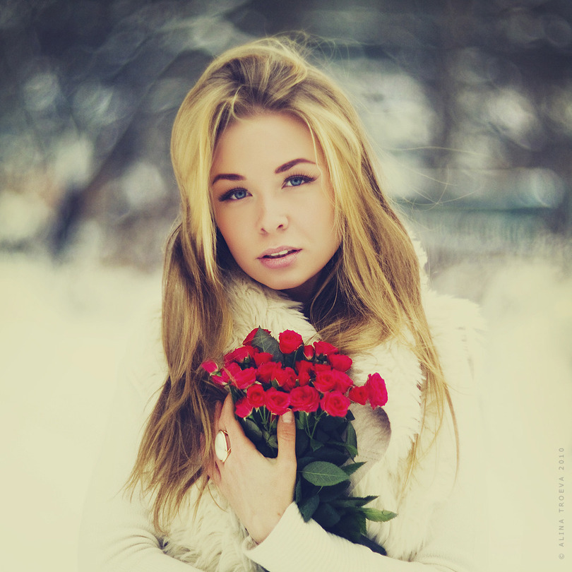 Roses | blonde, nature, rendering, flower