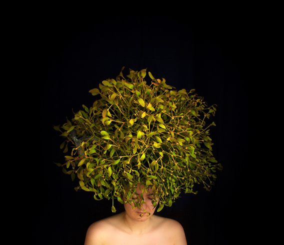 Girl with the bush instead of hair | bush, hair, girl, black background