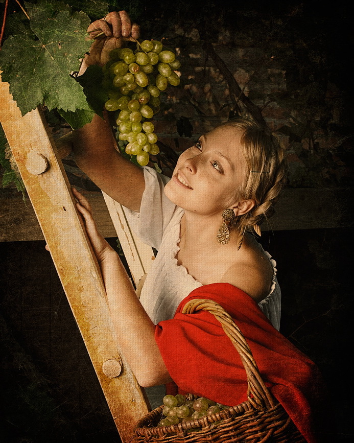 Girl gathers grape | grape, girl, ladder, summer