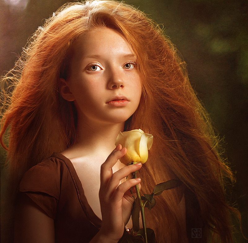 Golden maiden | maiden, rose, redhead, light