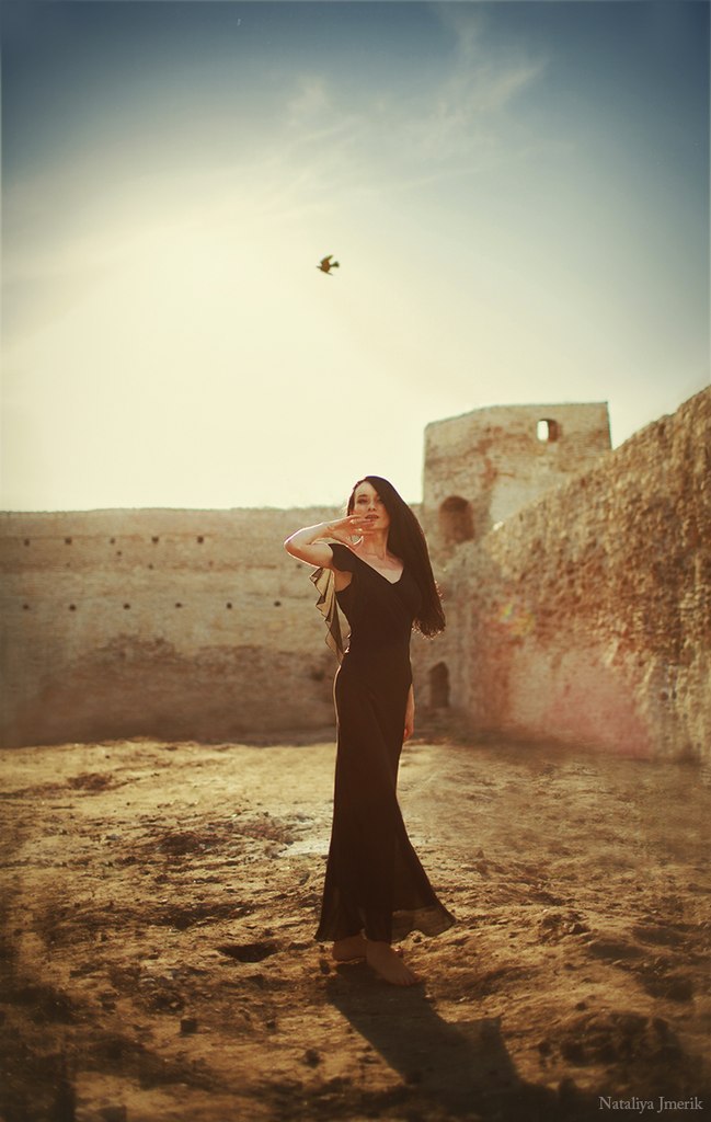 Bird flying in the sky | sky , bird, long black dress, wall