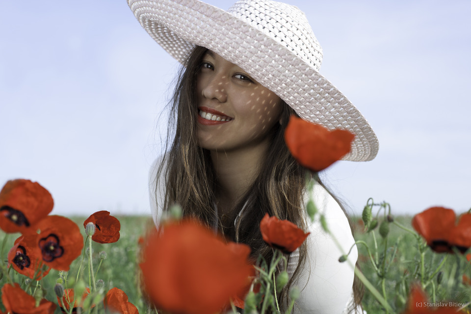 Poppy field and a girl | girl in white hat, poppy, field, summer