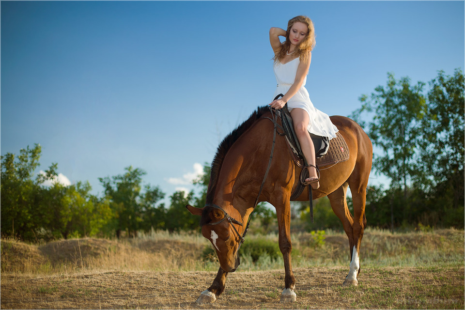 Girl on a horse | girl on a horse, white dress, dutie, field