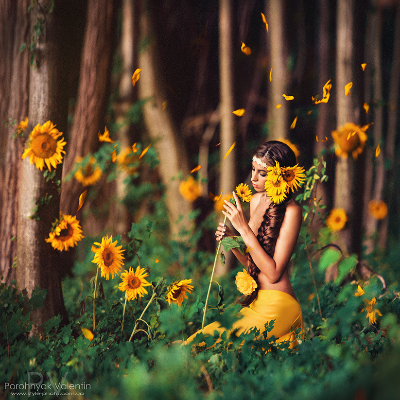 Yellow girl in the wood with sunflowers | sunflower, yellow, wood, forest, nature