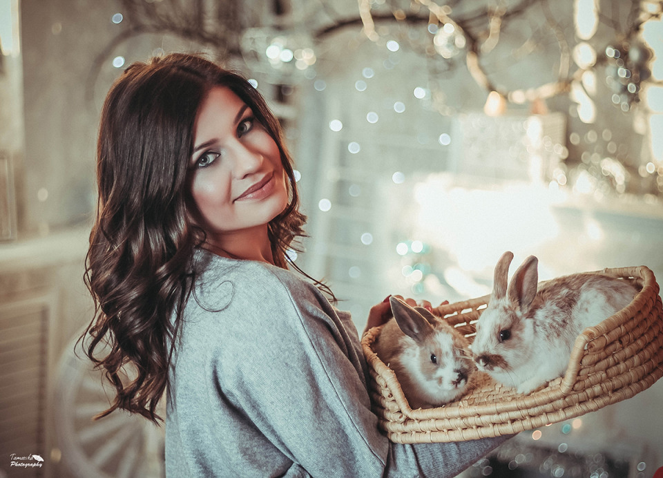 Pretty woman with rabbits | portrait, model, woman, brunette, hair-do, make-up, room, rabbit, basket, light