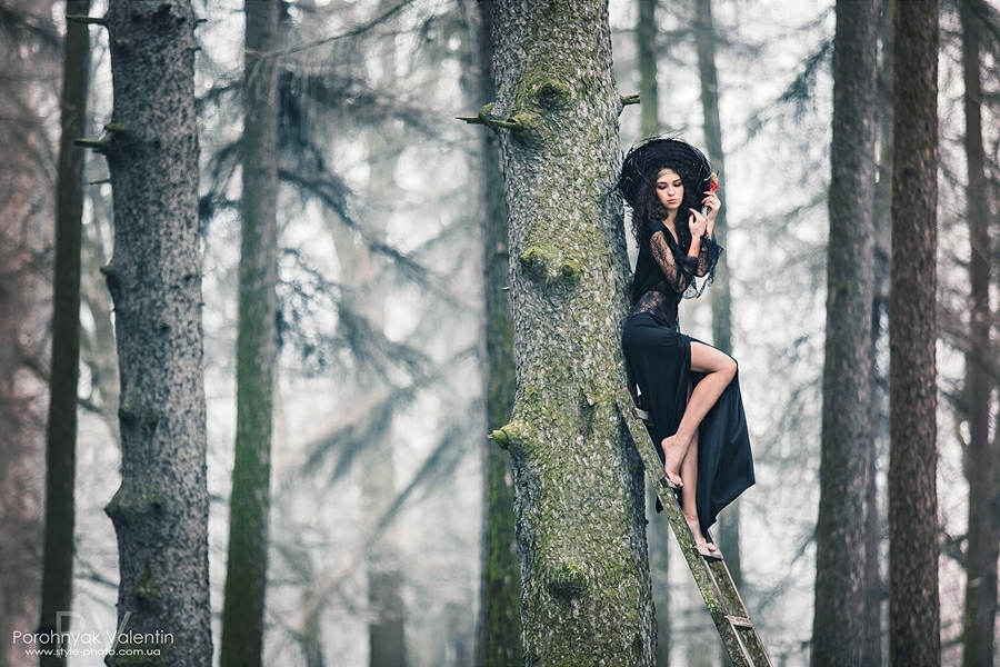 Dark girl climbing a tree with a ladder | dark girl, black dress, tree, wood, forest, sky, autumn