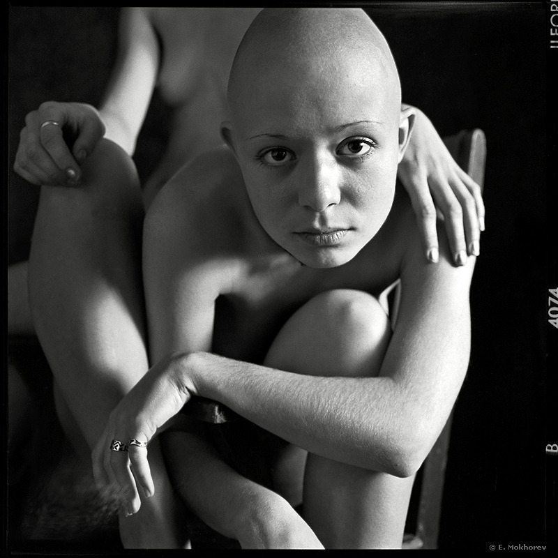 black & white hairless... | black & white, hairless